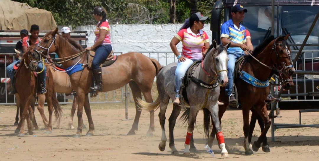 Cavalgada 2024 roupa feminina