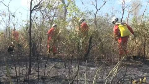 Bombeiros tentam controlar incêndio que persiste há mais de um mês na BA