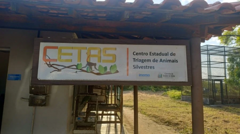 Força-tarefa resgatou 965 animais silvestres na Chapada Diamantina