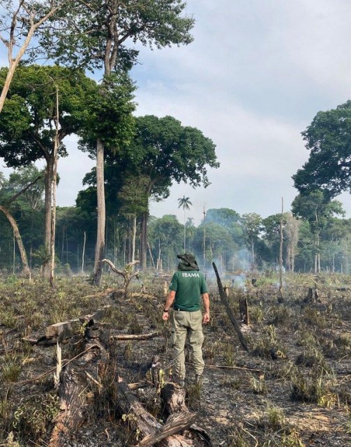 Fiscalização contra desmatamento aplica R$ 1,3 milhão em multa no Amazonas