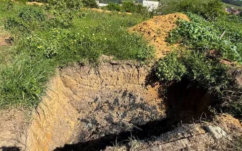 Gerente da Embasa é preso em flagrante por crime ambiental na Bahia