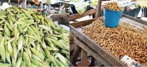 Diante das mudanças climáticas, agricultores feirenses temem perder safras para São João