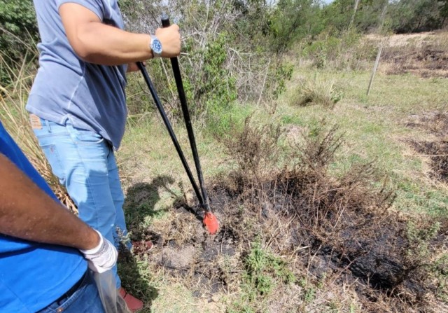 Fotos: Divulgação/Semmam