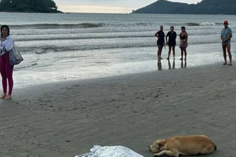 Cachorro fica ao lado do corpo do dono morto afogado em praia